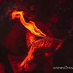 0085 Benefičn&iacute; koncert na hradě Trosky 
